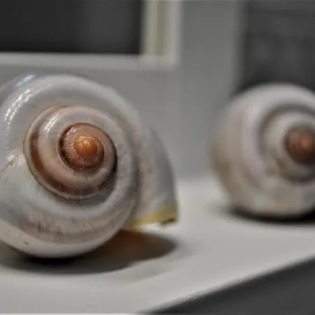 아파트 Monte Cofano 마카리