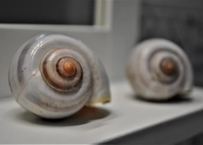 Apartmán Monte Cofano Macari